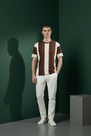 Boys Regular Fit Round Neck Stripe T-Shirt Brown/White color Stripes